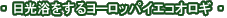 �����������郈�[���b�p�C�G�R�I���M